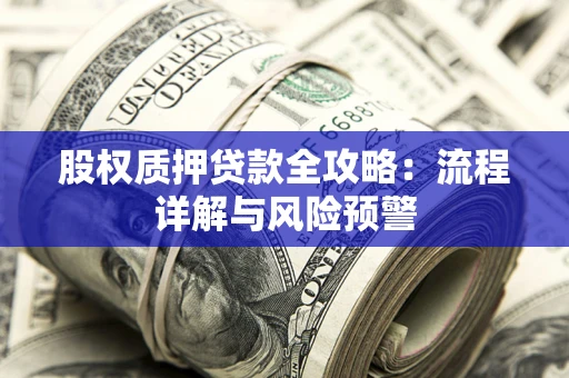 北京股权质押贷款全攻略：流程详解与风险预警
