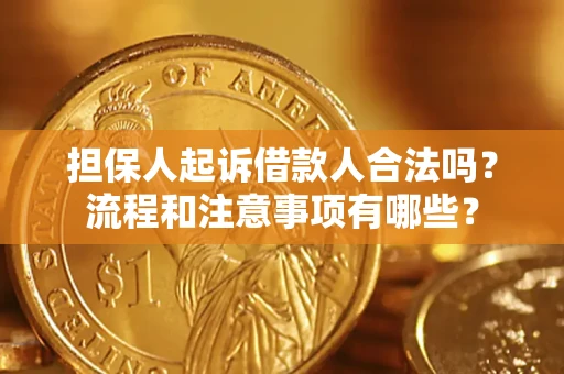 北京担保人起诉借款人合法吗？流程和注意事项有哪些？