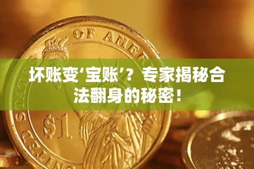 北京坏账变‘宝账’？专家揭秘合法翻身的秘密！