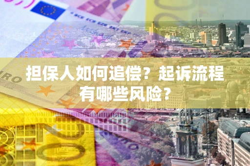 北京担保人如何追偿？起诉流程有哪些风险？