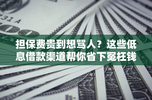北京担保费贵到想骂人？这些低息借款渠道帮你省下冤枉钱