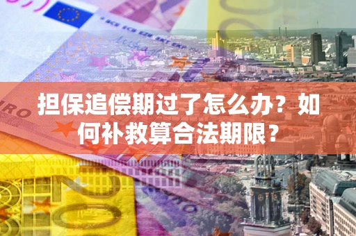 北京担保追偿期过了怎么办？如何补救算合法期限？