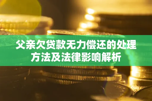 北京父亲欠贷款无力偿还的处理方法及法律影响解析