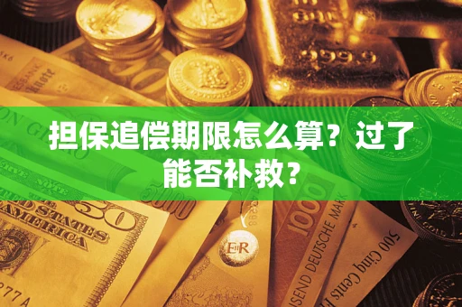 北京担保追偿期限怎么算？过了能否补救？